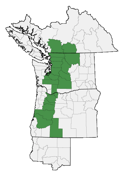 Map of where Castilleja rupicola is found