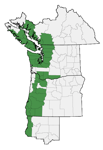 Map of where Erythronium oregonum is found
