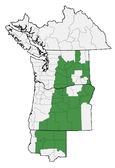 Map of where Eriogonum sphaerocephalum is found