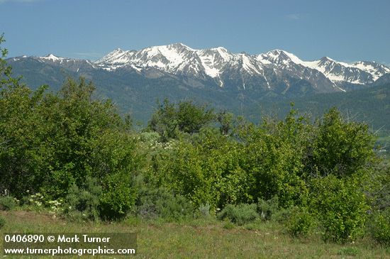 Granite Mountains, morning