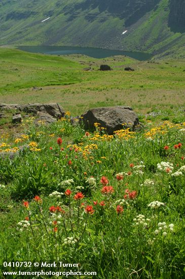 Orange Sneezeweed, Indian Paintbrush, Gray's Lovage above Wildhorse Lake