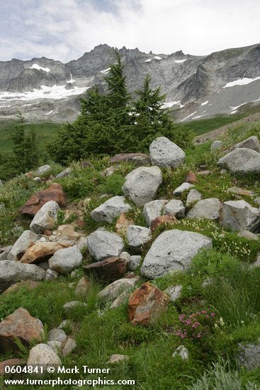 Boston Basin w/ Forbidden Peak on ridge