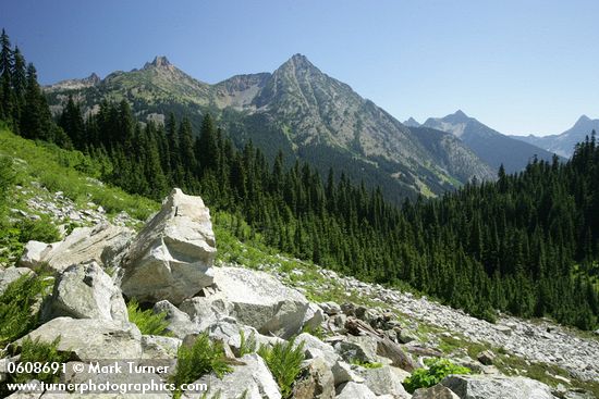 Alpine Lady Ferns among rocks w/ Cutthroat Peak & Whistler Mtn fr Lake Ann Tr (view ~54° NE)