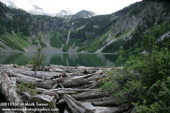 Rainy Lake fr log jam at outlet w/ Willows