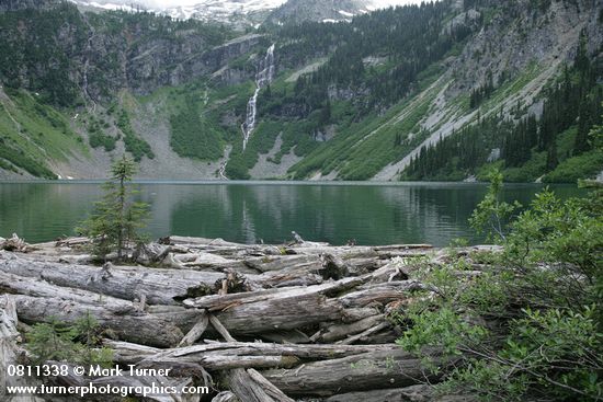 Rainy Lake fr log jam at outlet w/ Willows