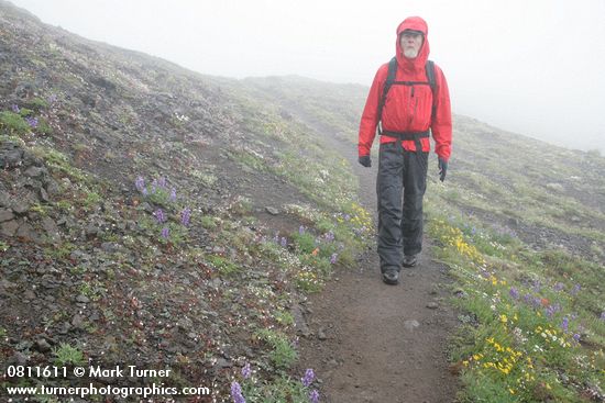 Willi Smothers walks on trail through alpine meadow near Mt. Townsend summit
