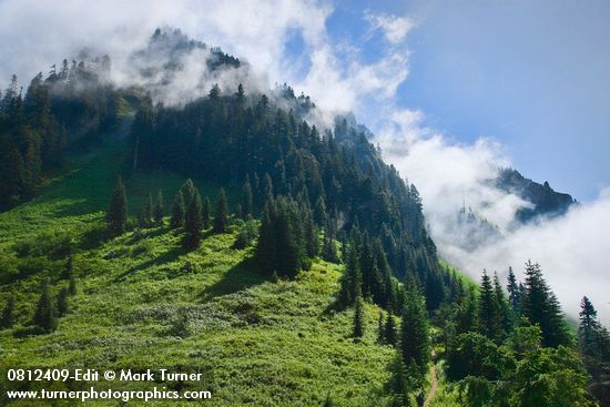 Sauk Mountain subalpine meadow ringed by conifers under clearing clouds