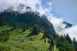 Sauk Mountain subalpine meadow ringed by conifers under clearing clouds