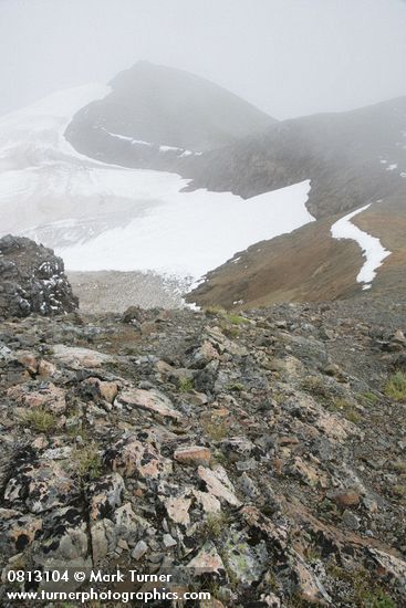 Chowder Ridge & Hadley Glacier alpine habitat view