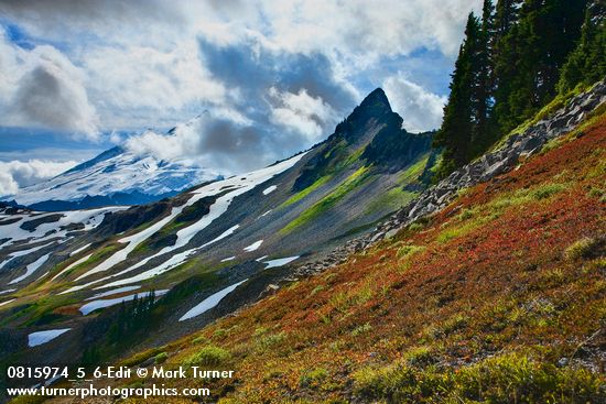 Mt. Baker in clouds beyond Coleman Pinnacle on Ptarmigan Ridge w/ Cascades Blueberries fgnd