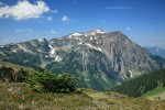 Krummholz Subalpine Fir w/ view to Tomyhoi Peak