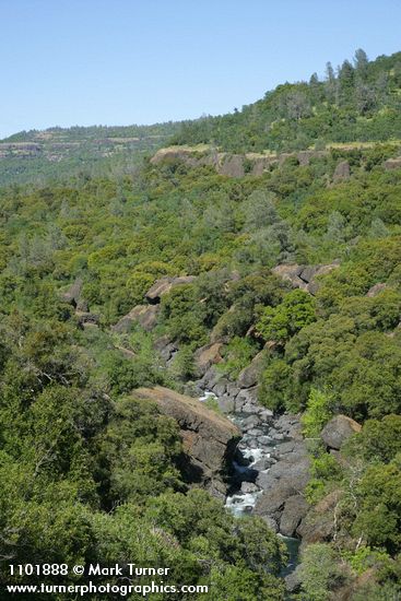 Big Chico Creek Canyon w/ Blue Oak, Canyon Live Oak, Grey Pine