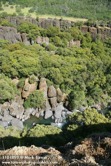 Big Chico Creek Canyon w/ Blue Oak, Canyon Live Oak, Grey Pine