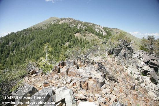 Aldrich Mountains panoramic landscape w/ Mountain Mahogany fgnd, Fields Peak on ridge [pan 1 of 14]