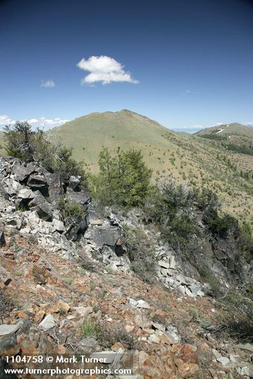 Moore Peak, McClellan Peak w/ Mountain Mahogany, Ponderosa Pine; Western Juniper on rocky ridge fgnd