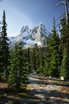 Early Winter Spires & Liberty Bell framed by Subalpine Firs