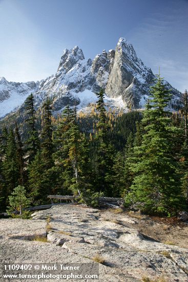 Early Winter Spires & Liberty Bell w/ Subalpine Larches turning golden ,framed by Subalpine Firs