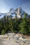 Early Winter Spires & Liberty Bell w/ Subalpine Larches turning golden ,framed by Subalpine Firs