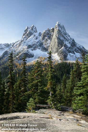 Early Winter Spires & Liberty Bell w/ Subalpine Larches turning golden ,framed by Subalpine Firs