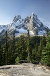 Early Winter Spires & Liberty Bell w/ Subalpine Larches turning golden ,framed by Subalpine Firs