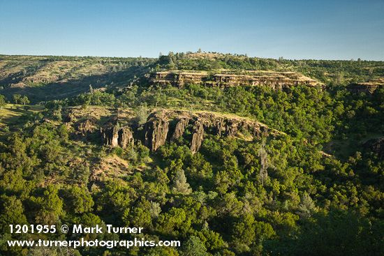 Oak woodland w/ Blue Oak, Valley Oak, Canyon Live Oak, Gray Pines [pan 2 of 4]