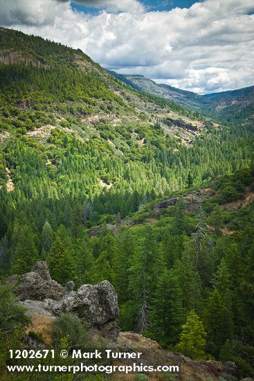 Lassen National Forest landscape w/ Firs, Ponderosa Pine, Manzanitas