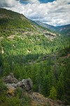 Lassen National Forest landscape w/ Firs, Ponderosa Pine, Manzanitas