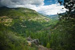 Lassen National Forest landscape w/ Firs, Ponderosa Pine, Manzanitas