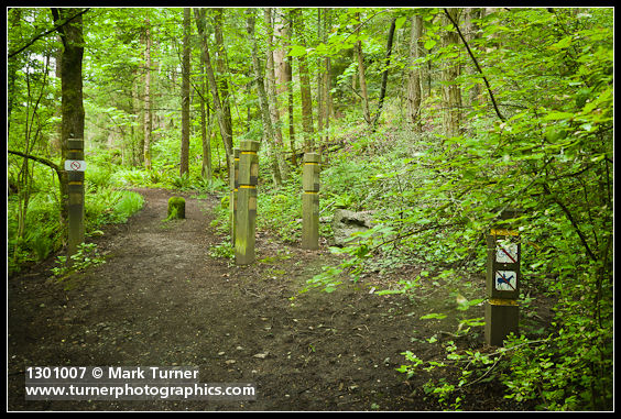 Douglas-fir Trail entrance at Arboretum Drive